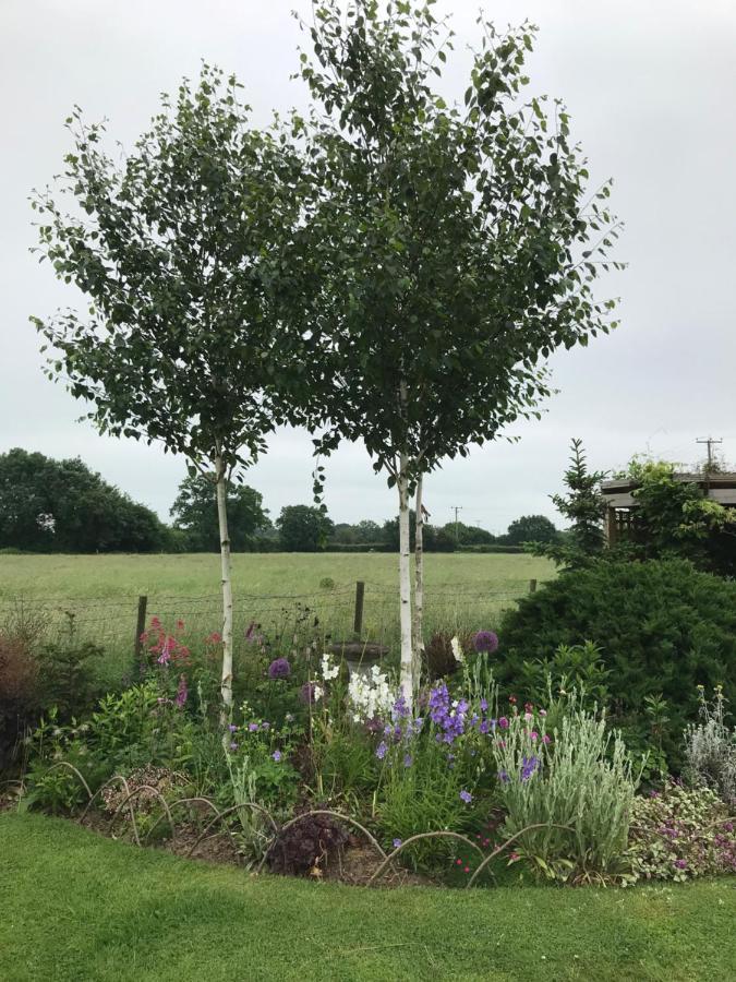 Fair View Bed & Breakfast Marden  Bagian luar foto